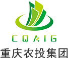 半岛手机网页版